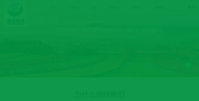 藍綠集團
